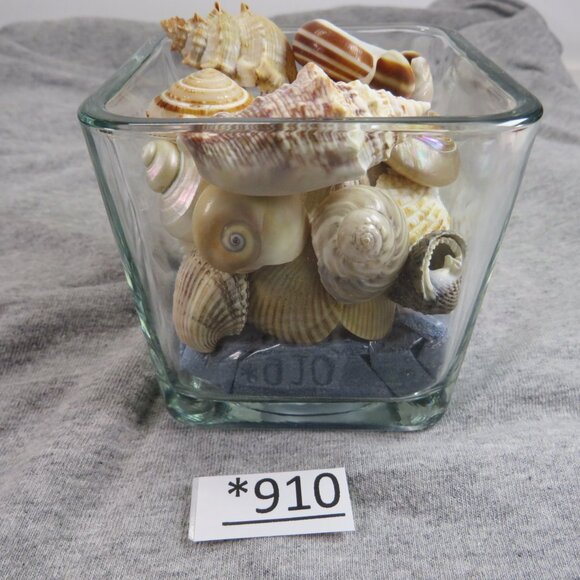 REAL Sea Shells in a Glass Square Vase and sand #8 - Picture 4 of 5